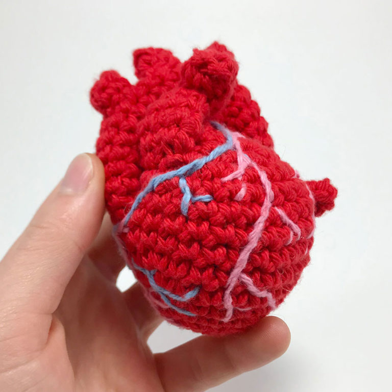 02_AnotomicalHeart_square