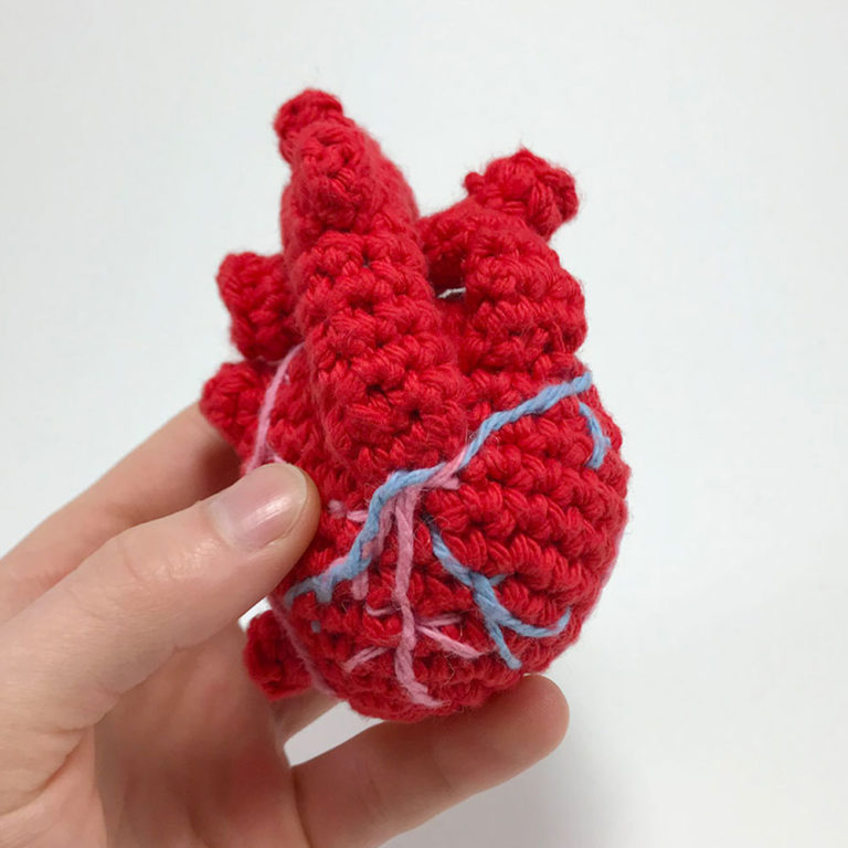 03_AnotomicalHeart_square