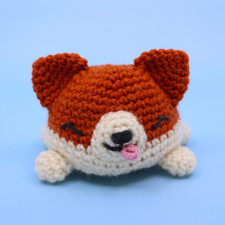 04_ReversibleCorgi_happy_square