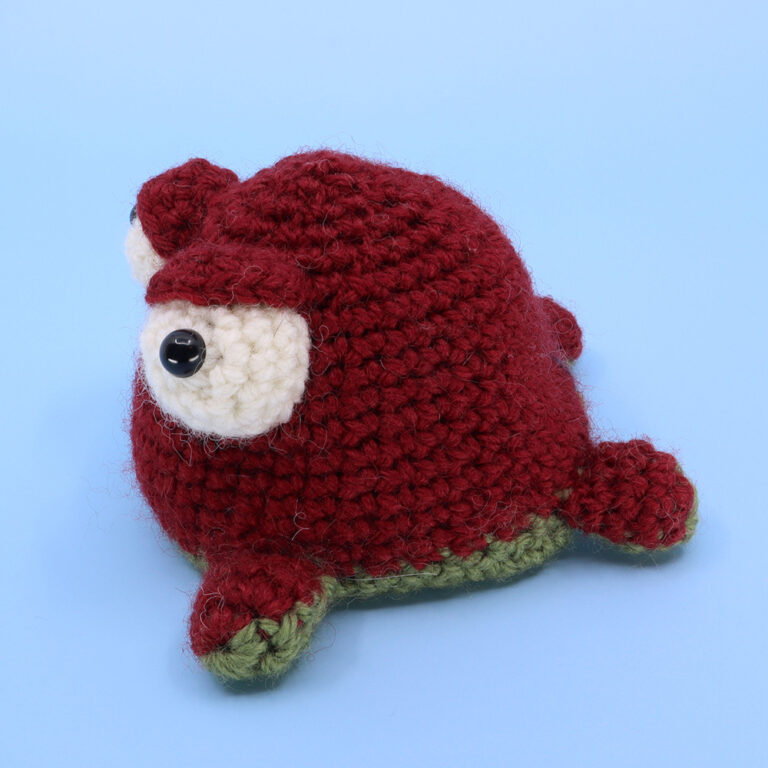 04_ReversibleFrog_red_square