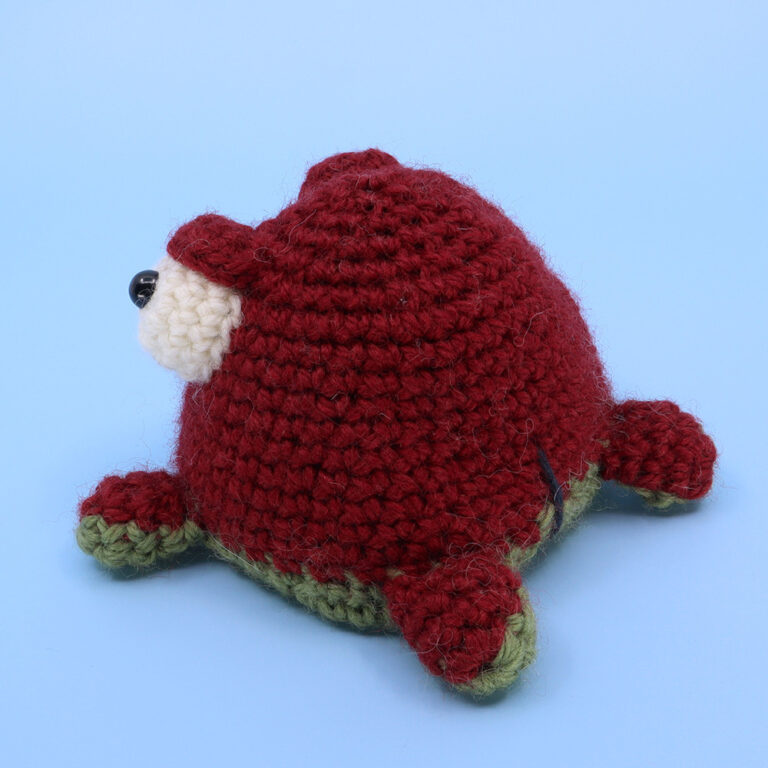 05_ReversibleFrog_red_square