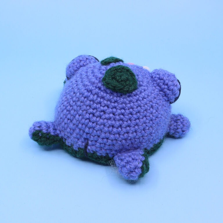 16_ReversibleFrog_blue_square
