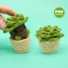 Succulent Amigurumi Pattern