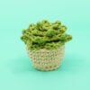 Succulent Amigurumi Pattern - Image 2
