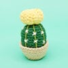 Hunky Cactus Amigurumi Pattern - Image 4