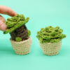 Photosynthesis Crochet Pattern Bundle - Image 7