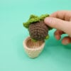 Succulent Amigurumi Pattern - Image 6