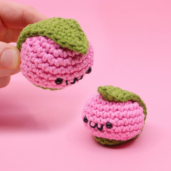 13_Mochi