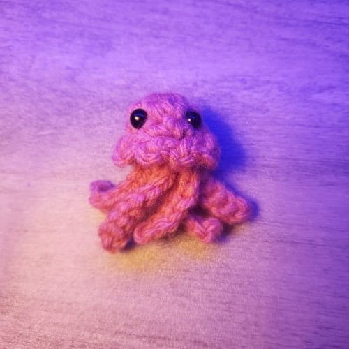 Jellyfish