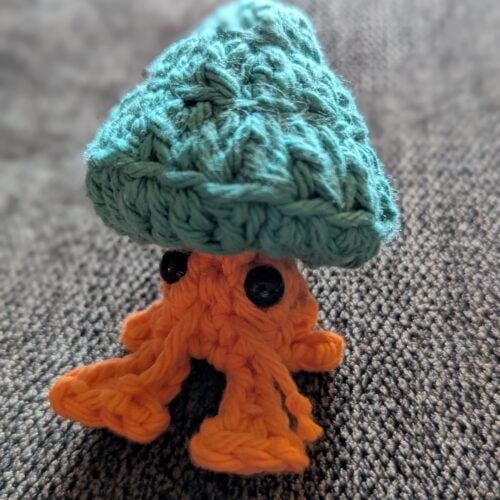 Hermit Crab