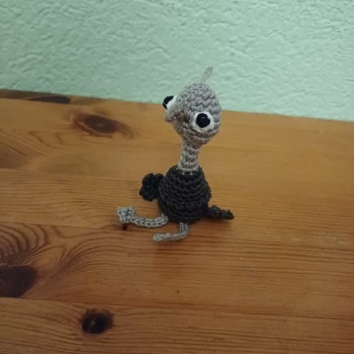 Ostrich