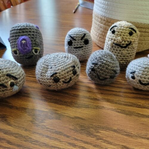 Pet Rock Family