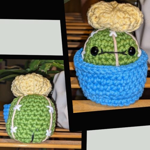 Hogan the Hunky Cactus