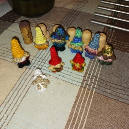 Variations on a gnome