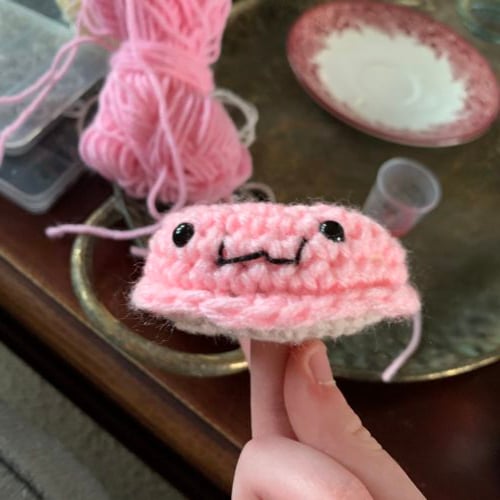 Louie’s fav donut (pink)