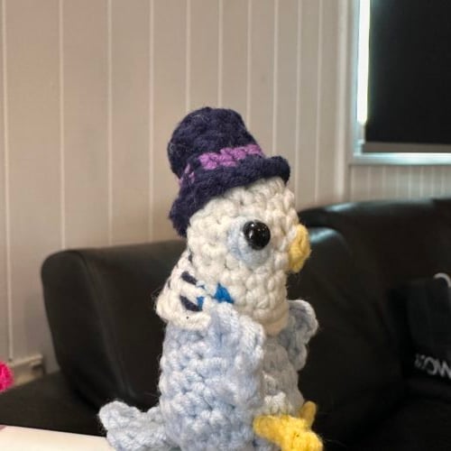 Budgie about town
