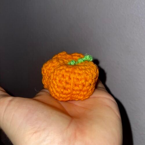 lil pumpkin pal