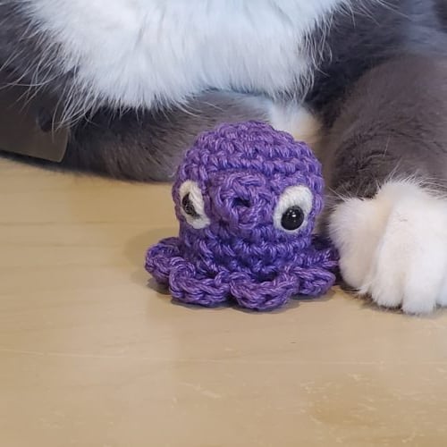 Community submission