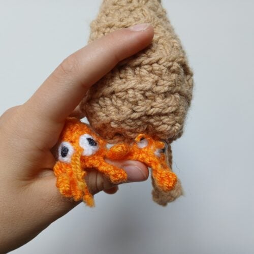 Hermit Buddies