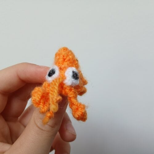 A Hermit Crab