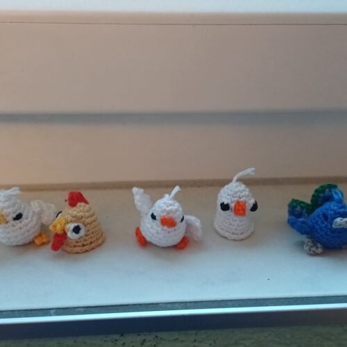 Birbs ready for secret mission