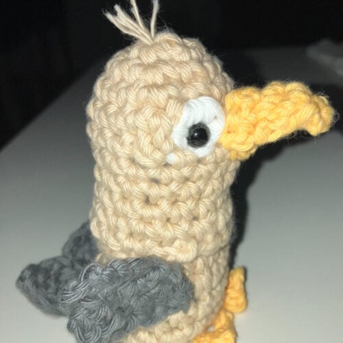 Charley the seagull