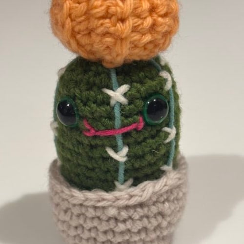 Frank the cactus