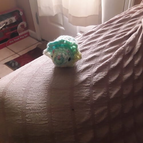 Terry the triceratops