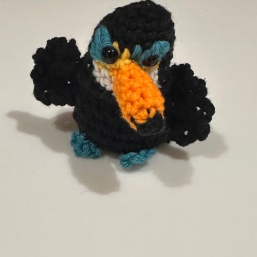 Crazy eyes toucan