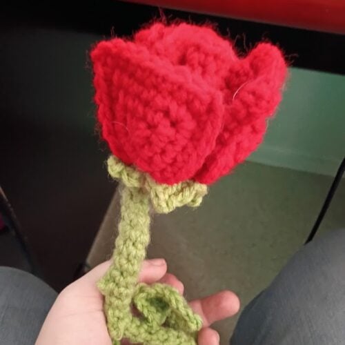 Valentine's flower with thorns