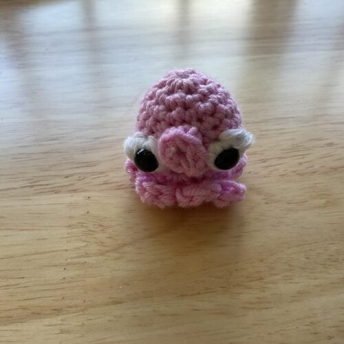 Octopus With Weird Mouth