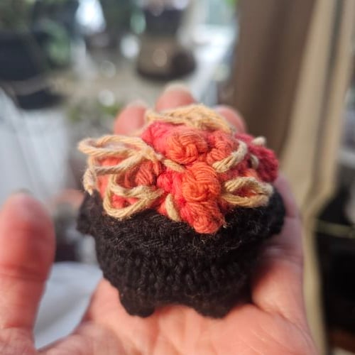 Spookhetti and Meebles