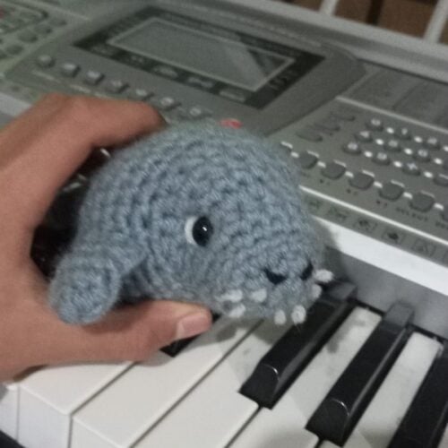 The Bolivian Dugong